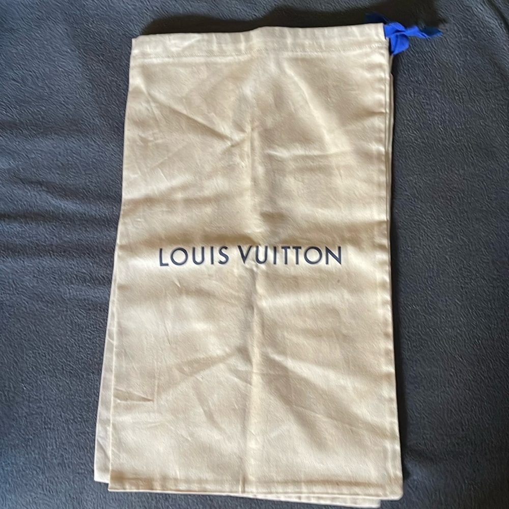 Louis Vuitton shoe sleeves.